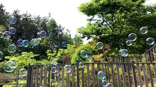 독일제 클래식 레인보우 비눗방울 / 어린이 무독성 비눗방울 / 촬영소품 비눗방울