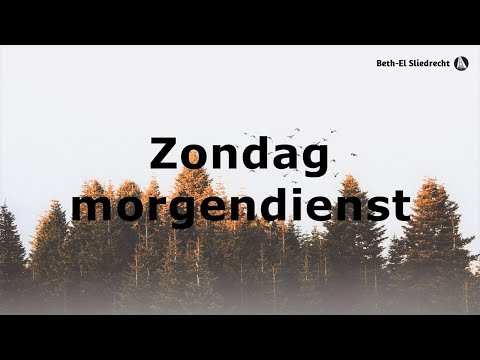 Zondagmorgendienst - Mattheüs 13  - Ds. C.P. de Boer