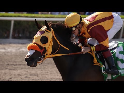 Gulfstream Park Carrera 9 (The Ana T) - 3 de Junio 2018