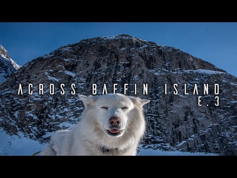 Man and His Dog Alone in the Arctic Wilderness -E.3 - Polar Bear Concern
