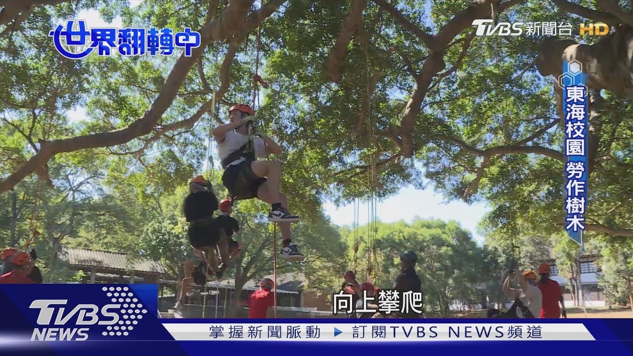 永續觀念教育做起 國中小、大學著手減碳