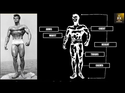 The Standards of Symmetry Explained
