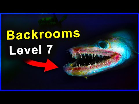 Backrooms level 7 explained... (Thalassophobia⚠️)