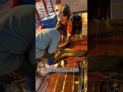 ปลาไร้หูงูไร้เกล็ด #viralvideo