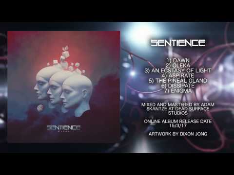Sentience - The Pineal Gland