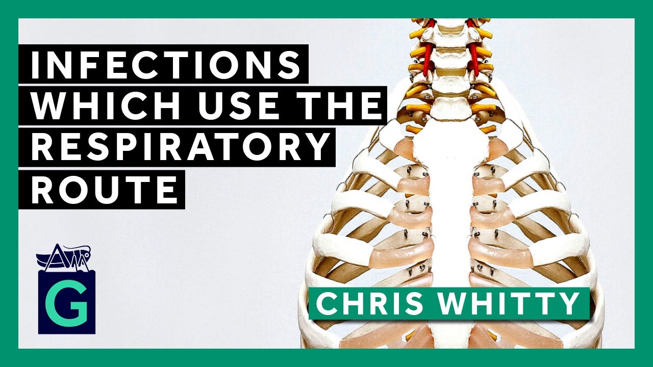 Infections Which Use the Respiratory Route