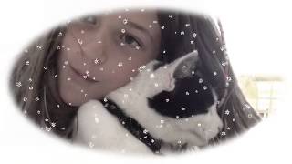 &quot;Kiss You (Live Version From The Motion Picture &quot;One Direction: This Is Us&quot;)&quot; Fan Video