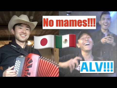 Mexicans react to my accordion 😂 (Japanese man playing a corrido)