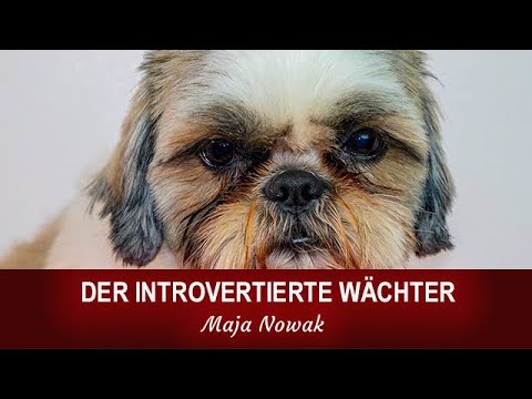 Der introvertierte Wächter - Portrait (von Maja Nowak)