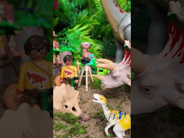 Vídeo relacionado con PLAYMOBIL | Dinos | Encuentro con el Brachiosaurus y Aerodeslizador | Set de Juego de Dinosaurios | Aventura de Dinosaurios para niños y niñas a Partir de 4 años | 71819