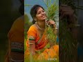 Thangalan Aruvadai Karudasamba Trendingshorts Viralvideo Whatappstatus Vikram Ranjith Gvprakash