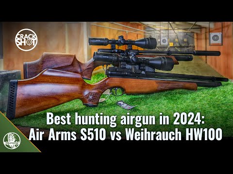 Air Arms S510 vs Weihrauch HW100