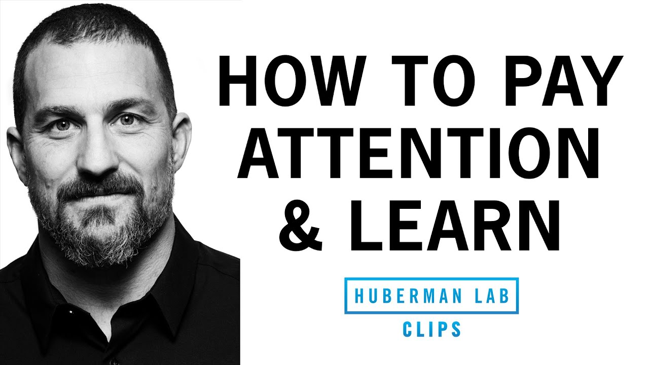 How to Pay Attention & Learn Quickly | Dr. Andrew Huberman