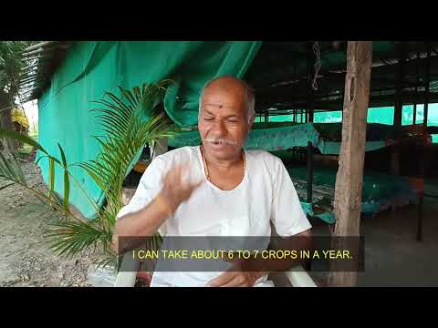 Sericulture Success Story – Dyanoba Auchar
