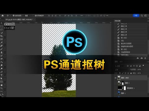 通道抠树：解锁 Photoshop通道抠图技巧