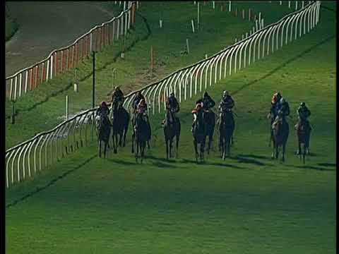 Galoppo 16/11/2019 - 6ª corsa - TRIS