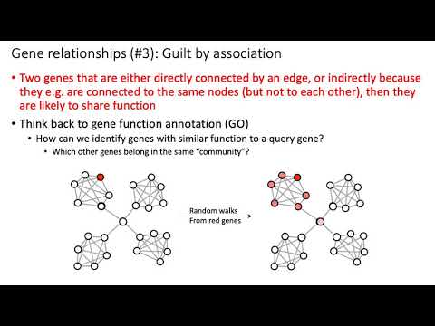 MCB 182 Lecture 11.8 - Modularity of gene networks, guilt by association principles