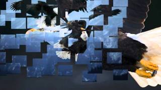 Nicholas Gunn - Entering Twin Falls