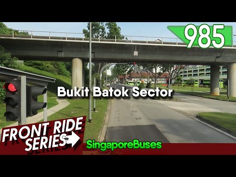 [SMRT Buses] SG6008C @ 985 | MAN ND323F (A95) Euro 6 Gemilang (ZF Ecolife)