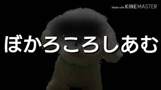 【ぬいぐるみpv】ぼかろころしあむ