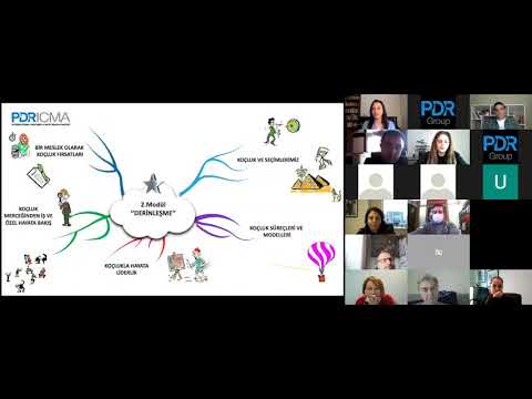 Profesyonel Koçluk ve Mentorluk Webinarı