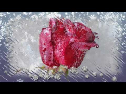 Ledus zieds - Lauku muzikanti.