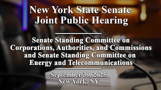 New York State Senate Joint Public Hearing -  09/30/2025
