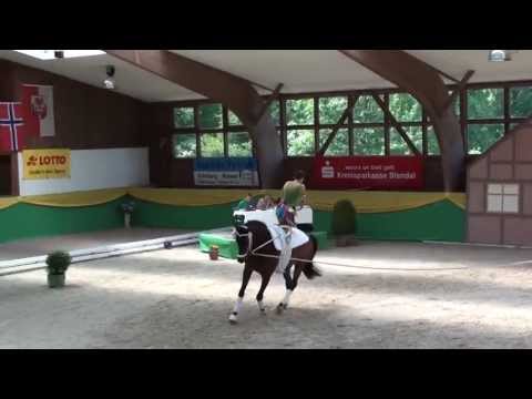 CVI Krumke 2013 - Kristina Boe Kür