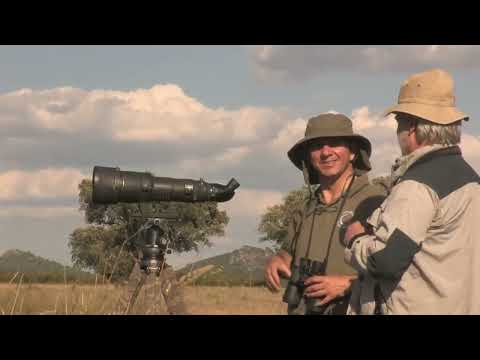 Wild Iberia – Europe’s Wild Heart    Wild_World