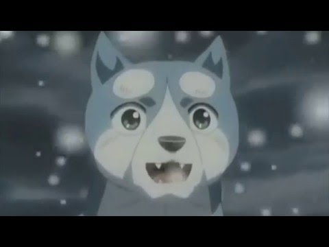 The Robotics Engineer King Part 15: Poochy Chased GB + The Reunion