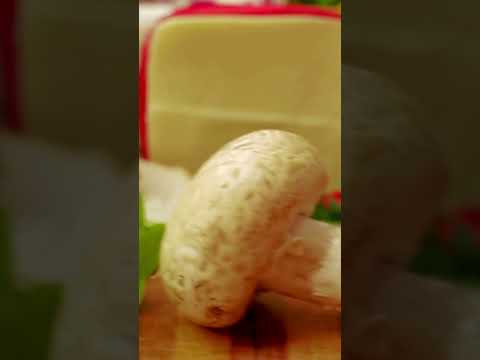 Creating Food Security: The Bee’s Contribution to Agriculture #bees #honeybee sudesh-j3o