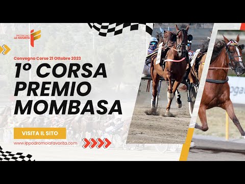 I Corsa del 21 Ottobre 2023 - 3 Anni - Metri 1600