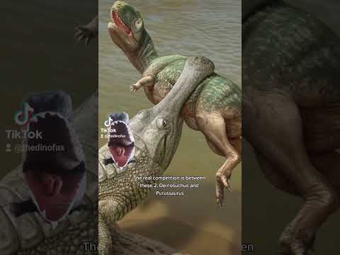 What was the Largest Crocodilian?