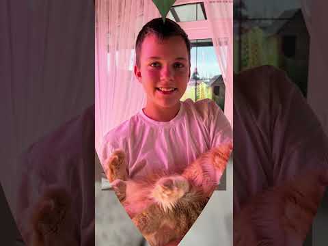 #garden #жизньзагородом #рецепты #огород #shorts