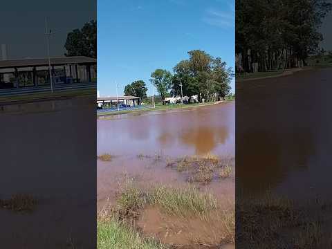 11/11/25, Naviraí, MS.#turismo #viagem #matogrossodosul #naviraí