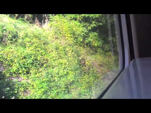 ALn 501/502 Minuetto Diesel