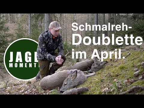 Schmalreh-Doublette im April | JagdMomente | 2022