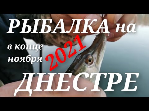 Фото РЫБАЛКА НА ДНЕСТРЕ 2021 В КОНЦЕ НОЯБРЯ #днестр #рыбалка #щука