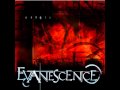 Evanescence - Lies 