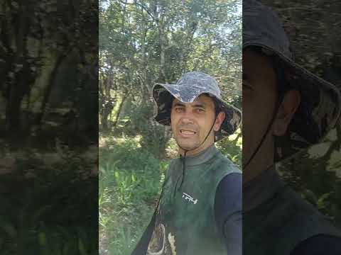 Lugar mais bonito para fazer acampamento que encontrei #pesca