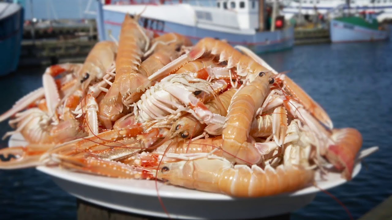 TV 2 Vejret præsenteres af Visit Læsø