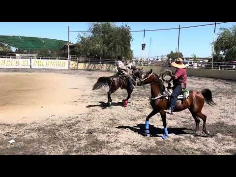 Los Bendecidos de Chiquimitio 1er vaquilla - 7/20/25