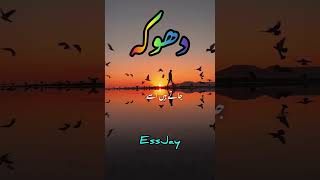 زندگی کیا ہے