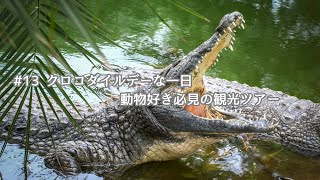 大迫力!オーストラリアに生息するクロコダイルを間近に見に行ってみた!ケアンズ | Hartley’s Crocodile Adventures / Cairns Australia