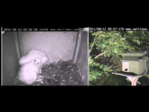 08-11-11 - Late Night w-the Pioneer Trio