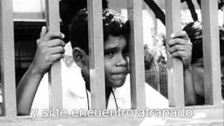 ESTRELLA DE LA MAÑANA