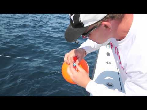 Balloon Clip Prototype - Bluefin Tuna Strike