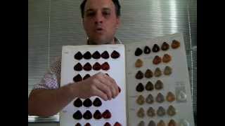 Utilizacion Marca Alfa Parf