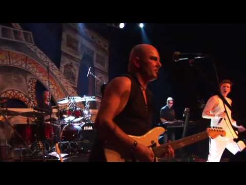 Thomas Richter mit Wanda und Queen Covershow