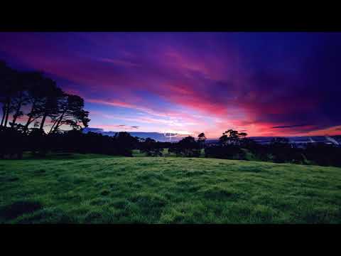 dev john x Mackned x BRENNAN SAVAGE – replacement